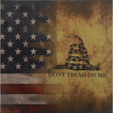 Full Color Flag Don't Tread On Me on White